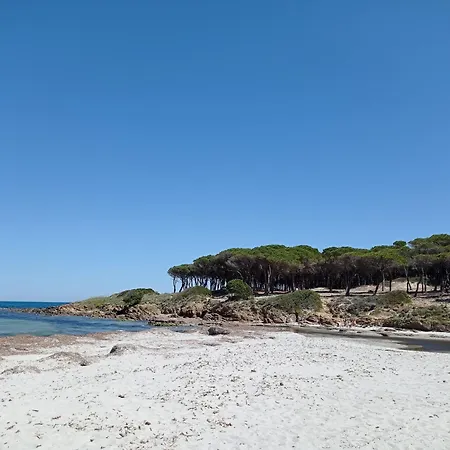 Villino Engi E Fede * Tanaunella